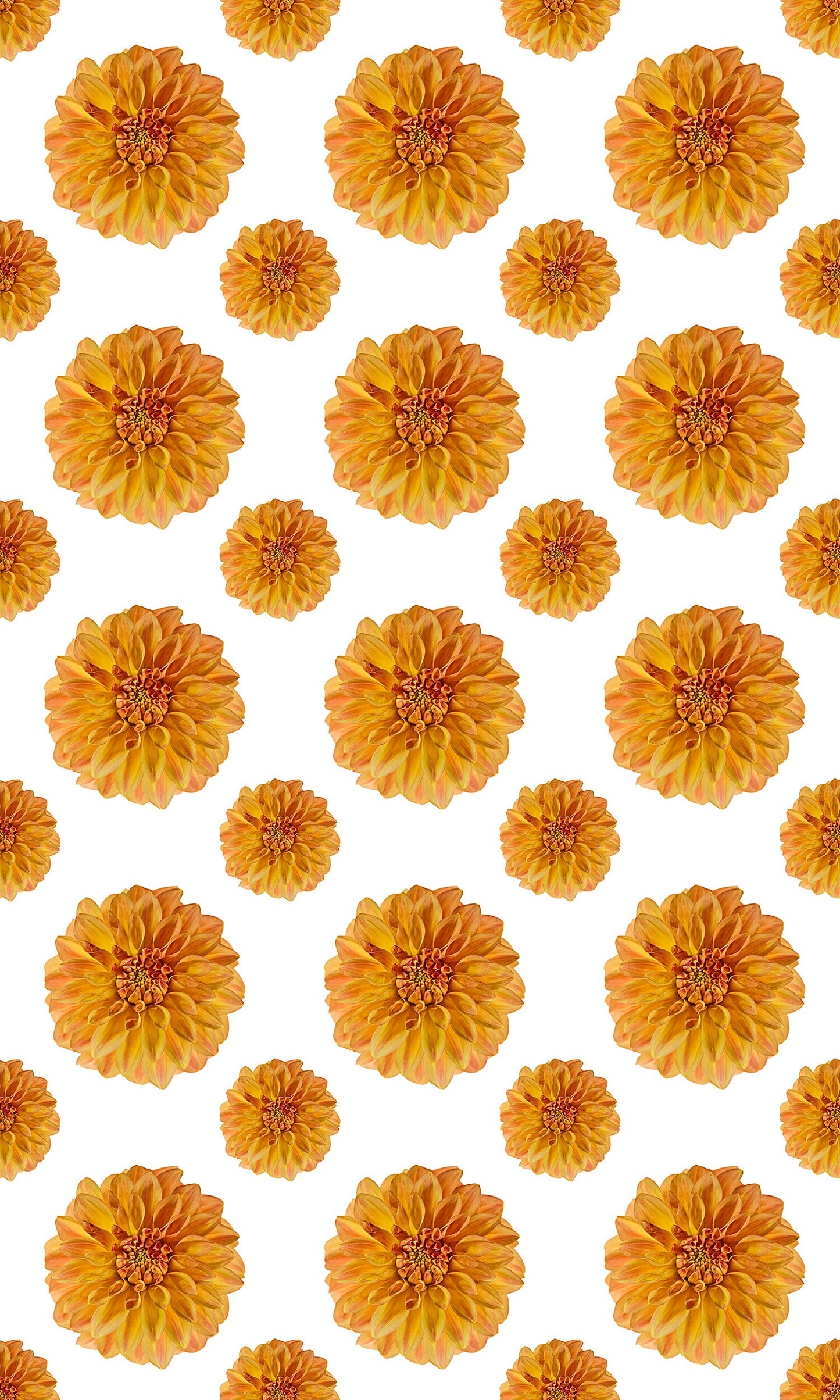Flora in Gold Versatile Indoor/Outdoor Washable Rug - Modern Boho Orange Floral - Vinyl with Non-Slip Latex Backing