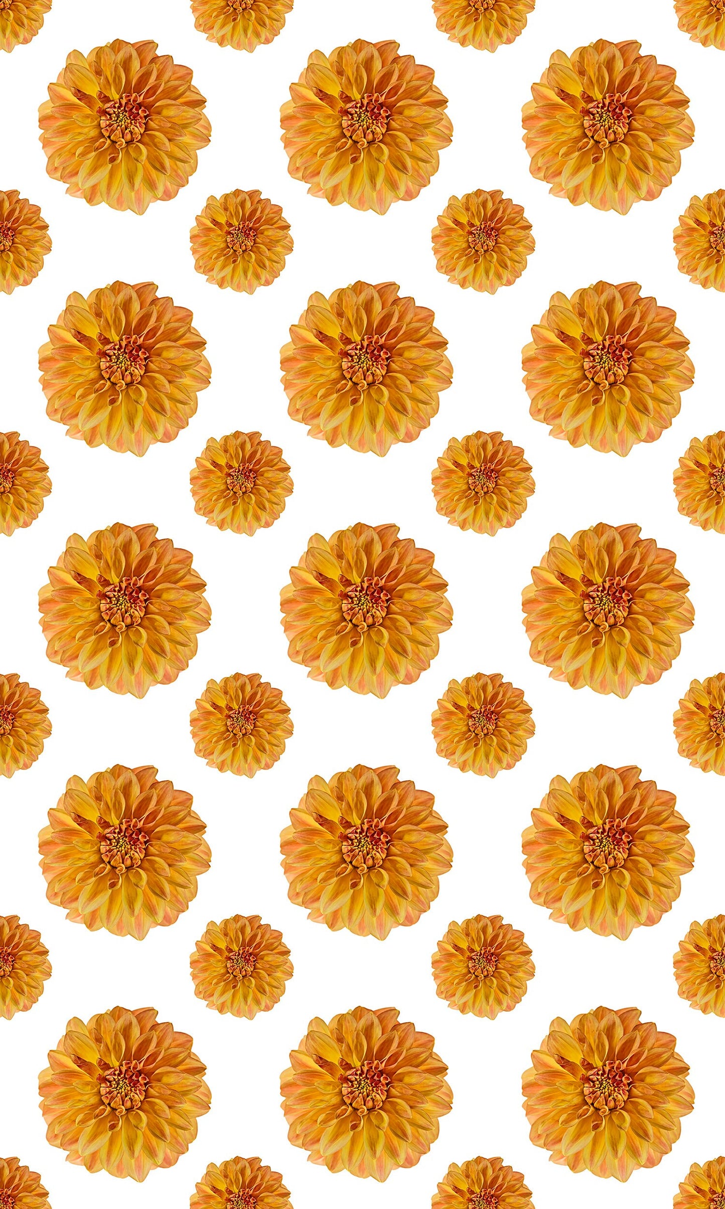 Flora in Gold Versatile Indoor/Outdoor Washable Rug - Modern Boho Orange Floral - Vinyl with Non-Slip Latex Backing