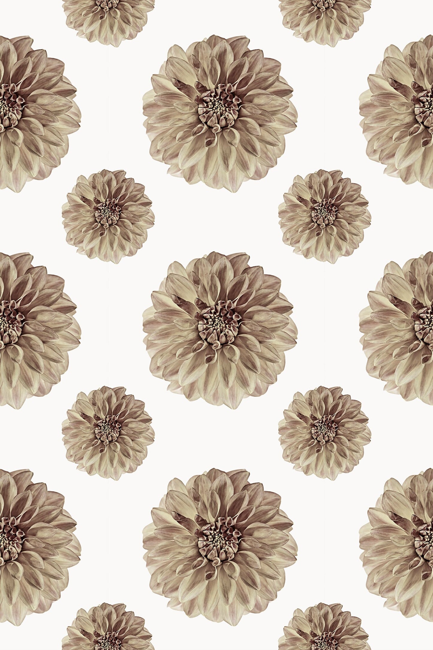 Flora in Sepia Versatile Indoor/Outdoor Floor Covering - Country Farmhouse Tan Floral - Vinyl with Non-Slip Latex Backing