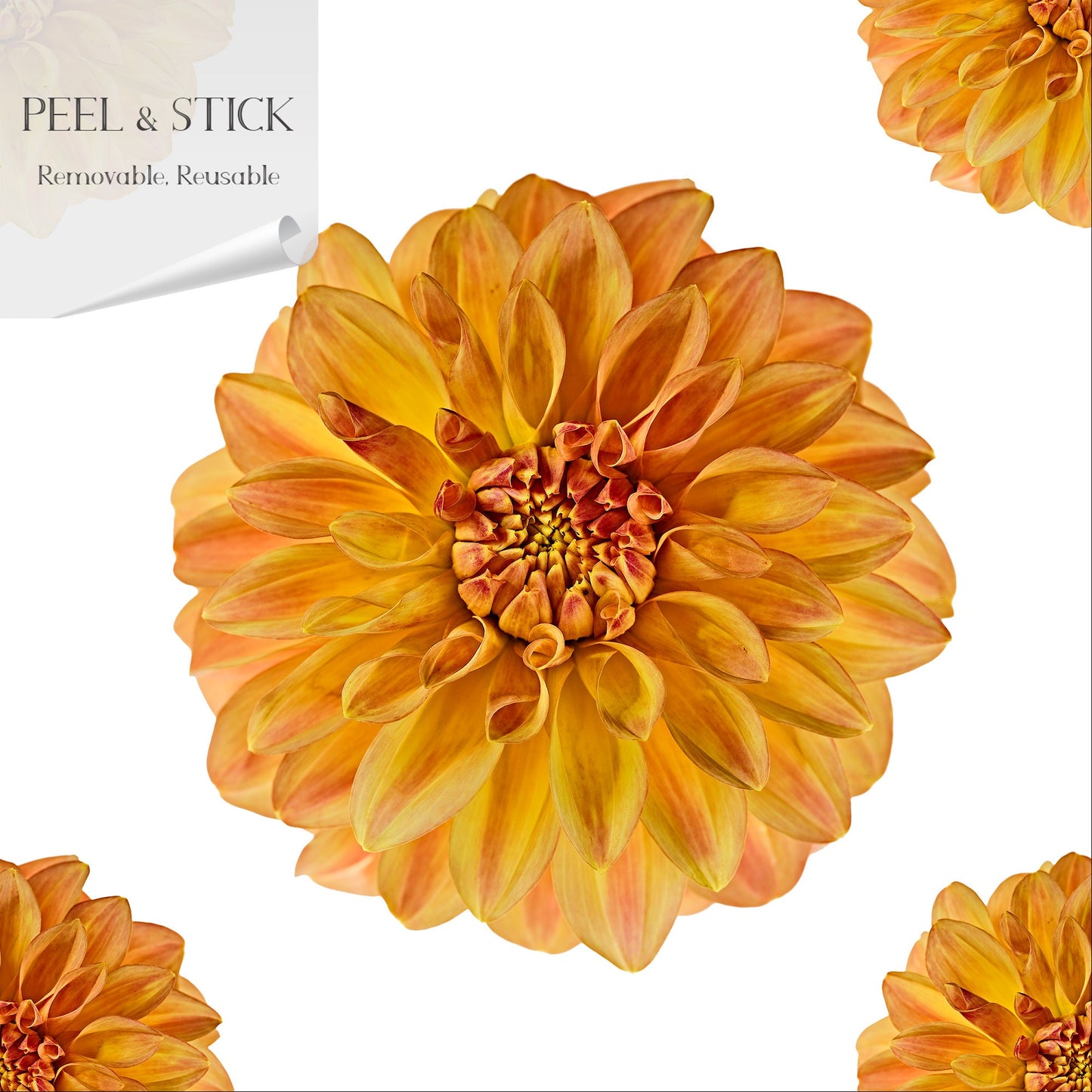 Flora Boho Peel and Stick Wallpaper - Orange Floral - Water-Resistant Embossed Vinyl Canvas